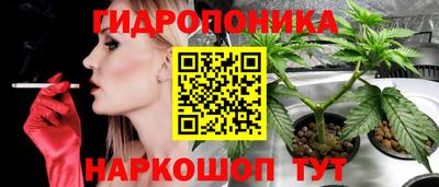 твердый Малоярославец