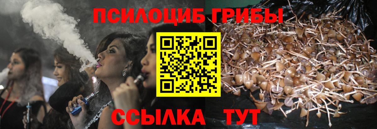 сколько стоит  Галлюциногенные грибы MAGIC MUSHROOMS  Вход с VPN  Саяногорск 